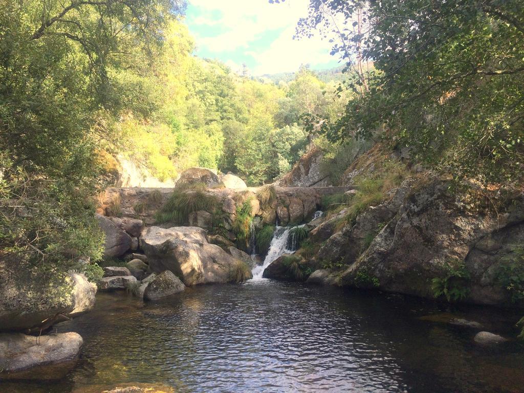 Casa Da Ribeira Do Cirio Guest House Сейя Екстериор снимка