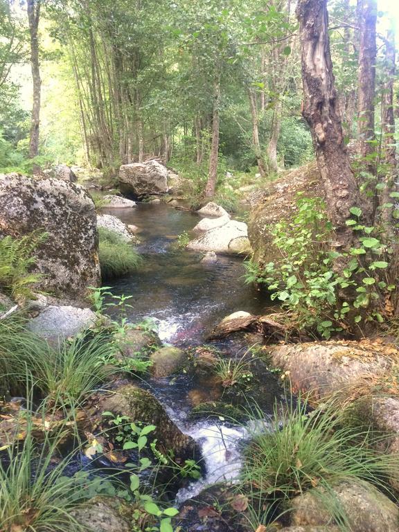 Casa Da Ribeira Do Cirio Guest House Сейя Екстериор снимка